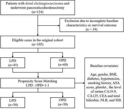 Comparison of laparoscopic and open pancreaticoduodenectomy for the treatment of distal cholangiocarcinoma: A propensity score matching analysis